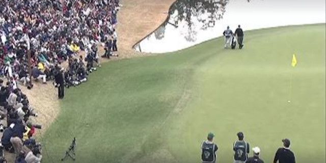 Tiger's Best Shot