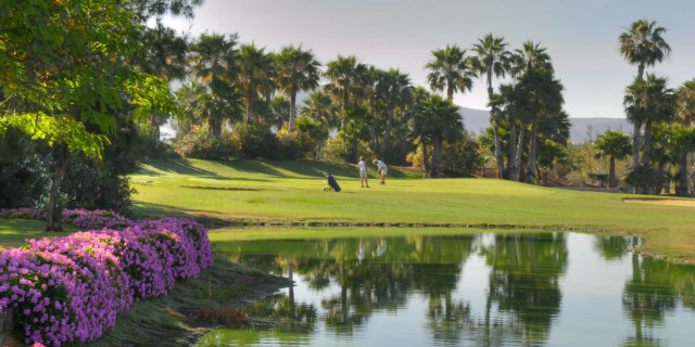 Golf Las Americas