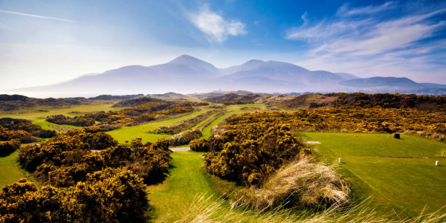 Royal County Down