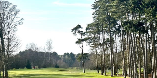 Swaffham Golf Club