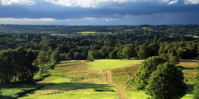 Royal Ashdown Forest
