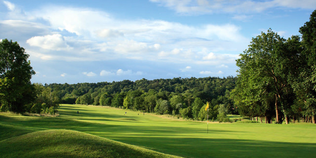 Croham Hurst