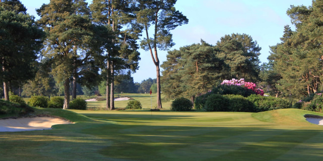 Ferndown Golf Club