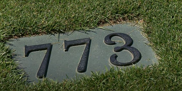 Tour Pros Tackle Longest Par 5 in Professional Golf