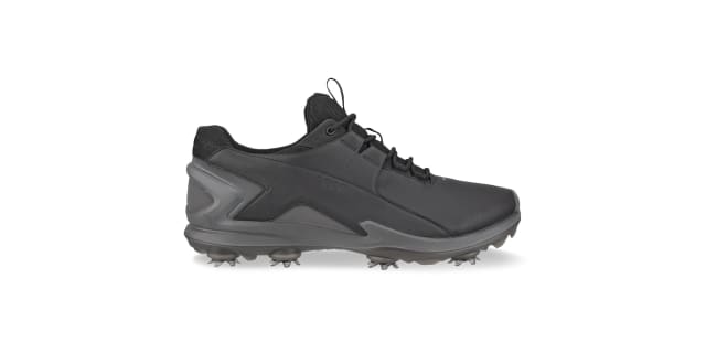 ECCO Biom