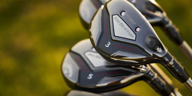 The Best Hybrids of 2019