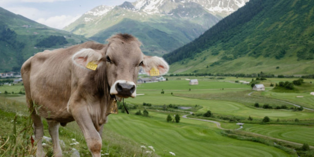 Andermatt Golf Course