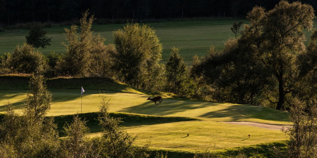 Hidden Gem Golf Courses to Play in Scotland