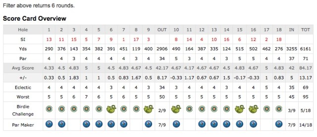 Birdie Challenge