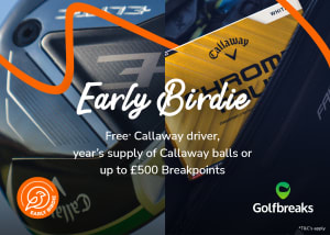 Early Birdie