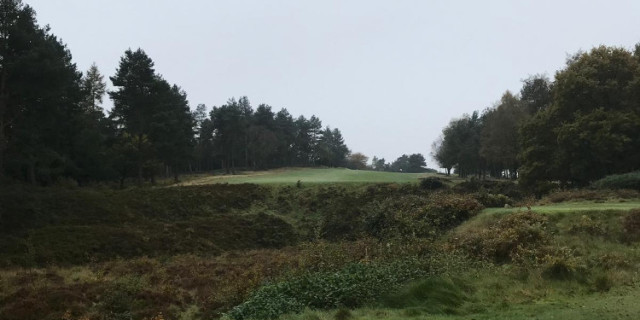 Beau Desert Golf Club Feature Review