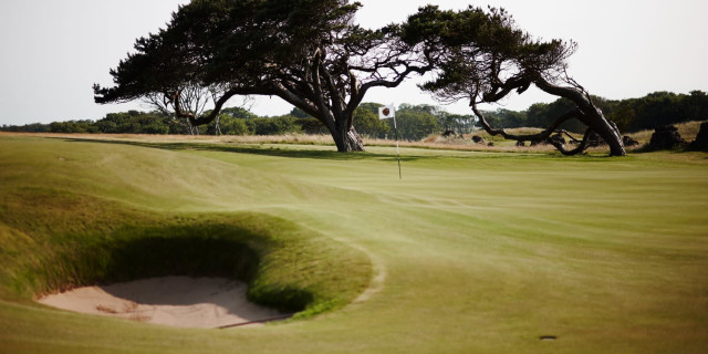 Renaissance Club