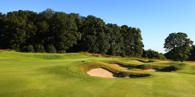 Stat Focus: The Grove