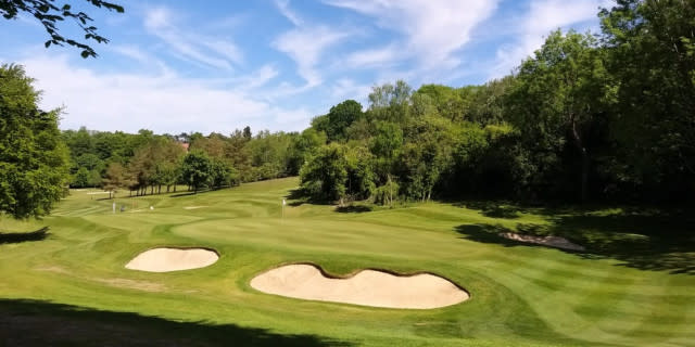 Tyrrells Wood Golf Club Feature Review
