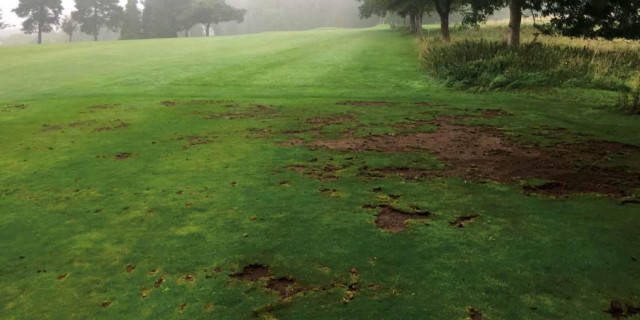 Course Damage