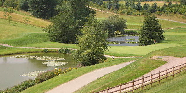 Greetham Valley