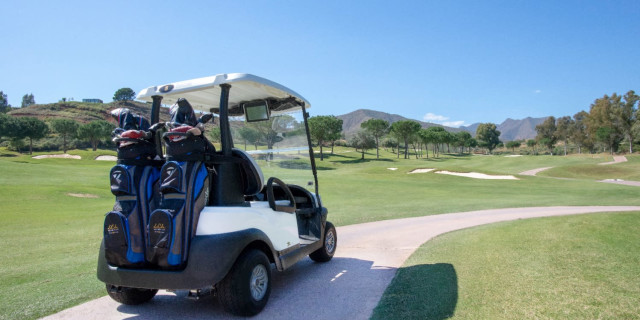 I played golf in a buggy for the first time and didn't like it
