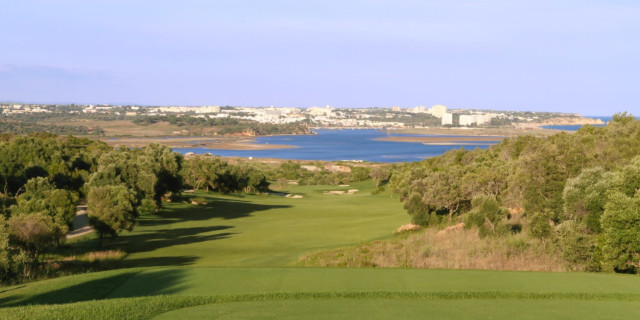 Palmeras Golf