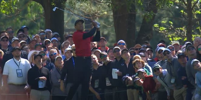 There Will Never Be Another Tiger Woods