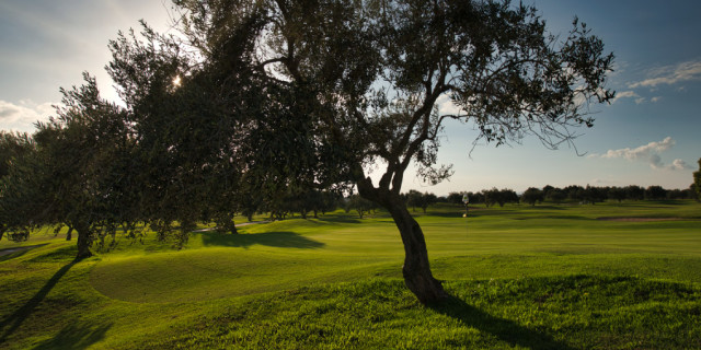 Les Oliviers Golf Course