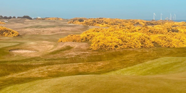 Dry Golf Courses
