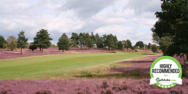 Hankley Common