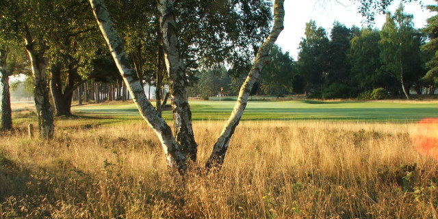 Hankley Common Golf Club