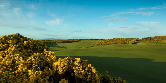 Royal Dornoch