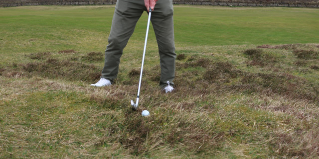 Golf Ball Survey