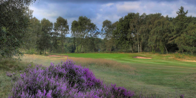 Sherwood Forest Golf Club