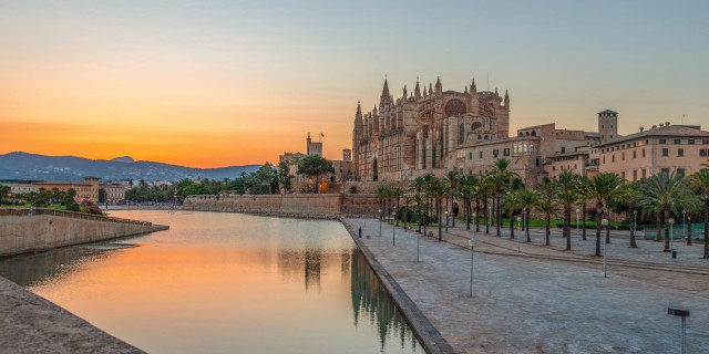 Palma