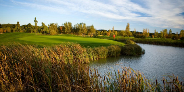Belton Woods