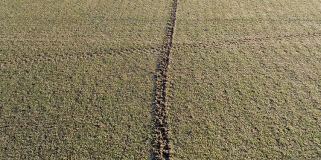 Golf Course Vandals