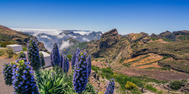 Madeira