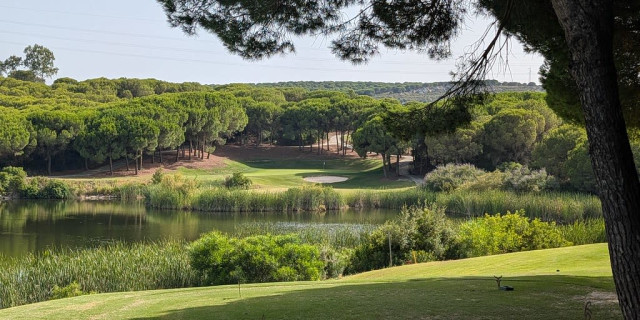 The Alto Club, Sotogrande - Feature Review