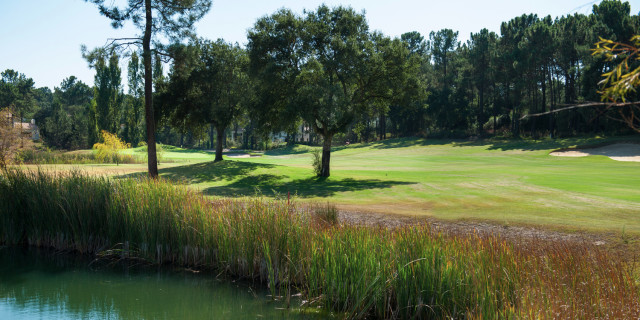 12th - Quinta de Peru