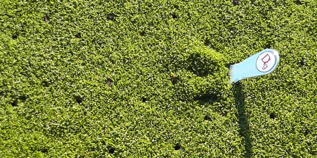 DEVEL Golf Pitchfork