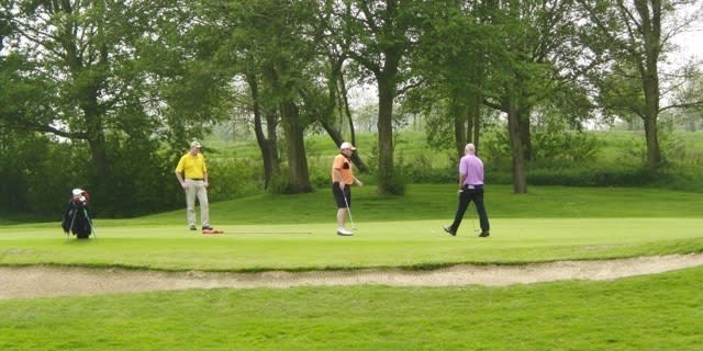 Group of golfers