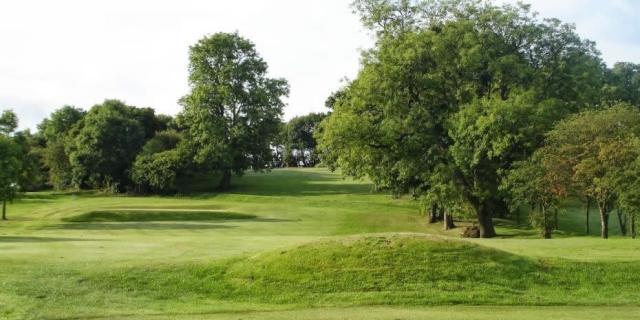 Linn Park 2020