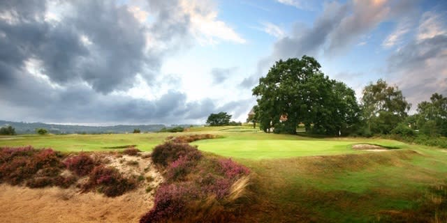 Reigate Heath