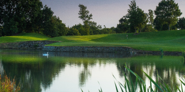 8th Hole Green 8th Hole Green