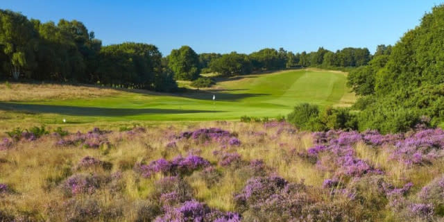 10 of The Best Golf Courses in Suffolk