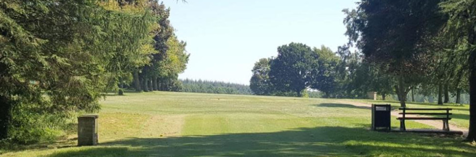 Forest of Dean Course Tee Shot