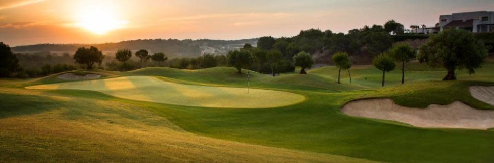 Las Colinas 8th Hole