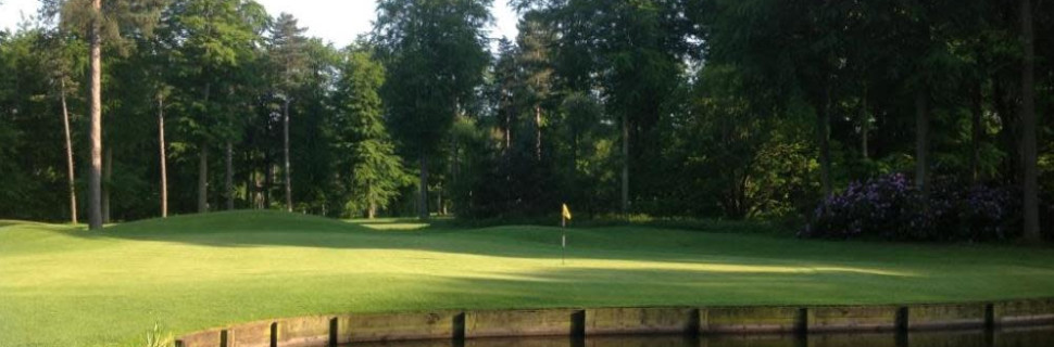 Forest Pines Green Shot Forest Pines Green Shot