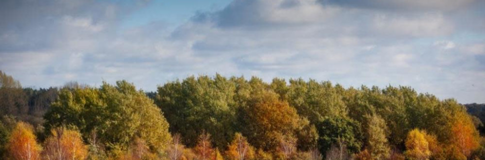 Barnham Broom Golf Course