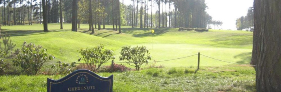 Forest Pines 6th Hole Forest Pines 6th Hole