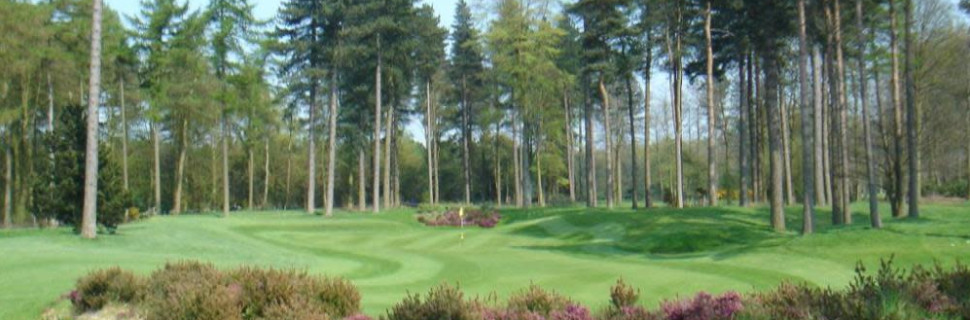 Forest Pines 18th Hole Forest Pines 18th Hole