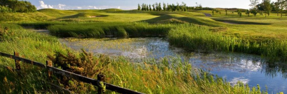 Herons Reach Water Shot