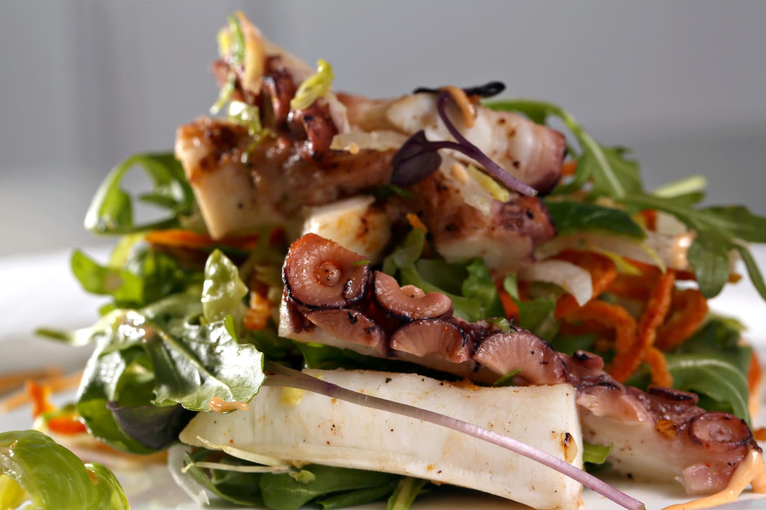 Canoe Gallery Greenwich